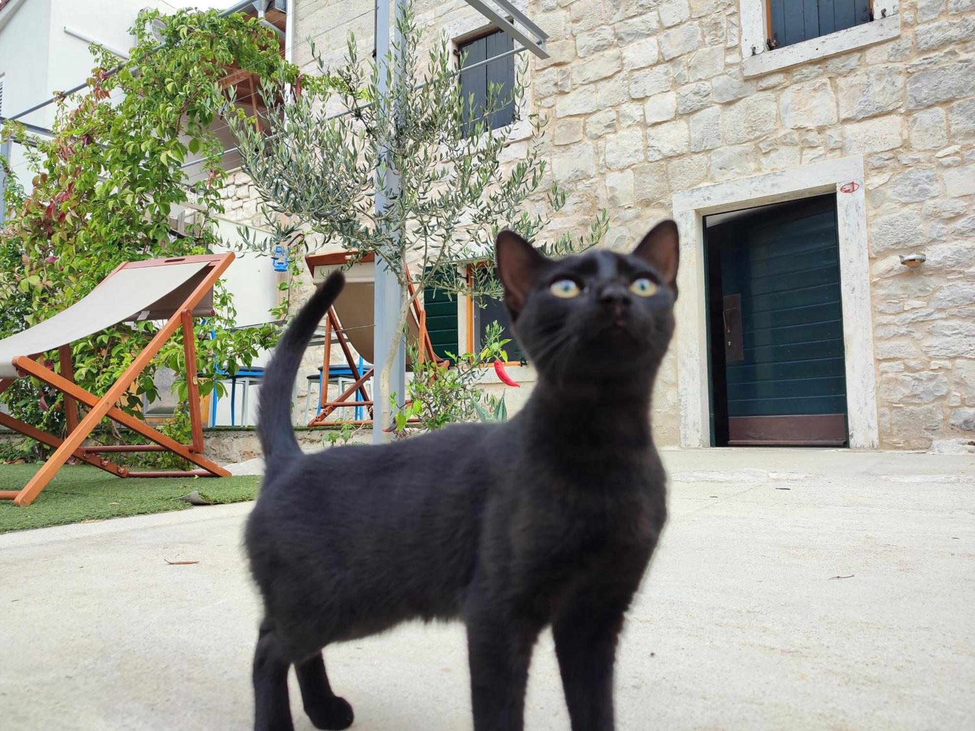 Apartmani Peljesac Sova Sreser Buitenkant foto