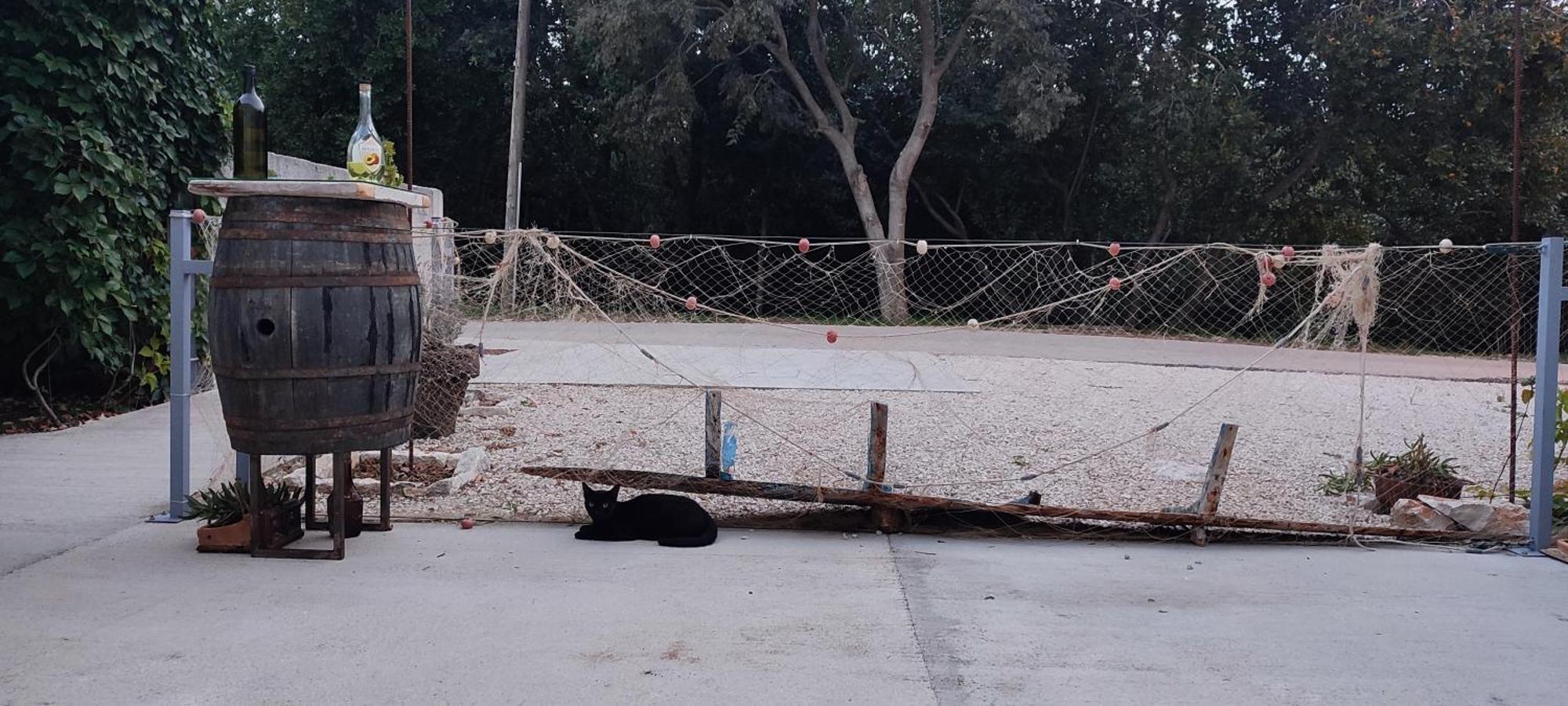 Apartmani Peljesac Sova Sreser Buitenkant foto